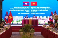 Quang cảnh hội thảo. (Ảnh: Đức Thọ/TTXVN)