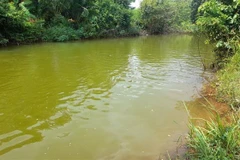 Hồ Suối Giai giáp với Đập Bà Mụ tại khu phố Tân Liên, thị trấn Tân Phú vừa xảy ra tai nạn trẻ em đuối nước. (Ảnh: TTXVN phát)