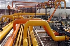 (Nguồn: devdiscourse.com)