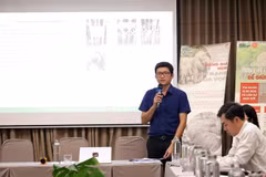Đại diện Chi cục Kiểm lâm tỉnh Đắk Lắk thông tin về công tác kiểm tra, quản lý động vật hoang dã và xử lý vi phạm liên quan đến ngà voi tại Đắk Lắk. (Ảnh: Hoài Thu/TTXVN)