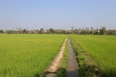 Ảnh minh họa. (Nguồn: Hưng Thịnh/TTXVN)