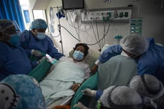 Nhân viên y tế điều trị cho bệnh nhân COVID-19 tại bệnh viện ở Lima, Peru, ngày 12/1/2022. (Ảnh: AFP/TTXVN)
