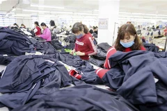 May hàng xuất khẩu tại Công ty TNHH Hưng Việt, Mỹ Hào, Hưng Yên. (Ảnh: Trần Việt/TTXVN)