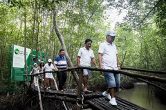 Du khách tham gia tour xuyên rừng Đất Mũi Cà Mau. (Ảnh: Hồng Đạt/TTXVN)