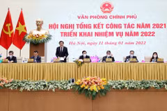 (Nguồn: baochinhphu.vn)