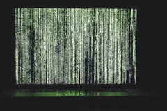 Ảnh minh họa. (Nguồn: pixabay doc)