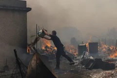 Một sỹ quan cảnh sát cố gắng dập tắt đám cháy rừng đang bùng cháy ở làng Vatera, Lesbos. (Nguồn: Reuters)