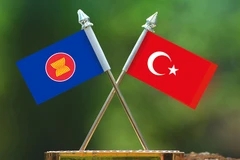 (Nguồn: aseanbriefing.com)