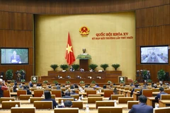 Phó Chủ tịch Quốc hội Nguyễn Đức Hải điều hành phiên họp. (Ảnh: Doãn Tấn/TTXVN)