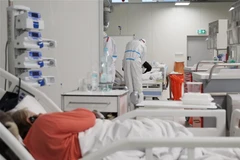 Điều trị cho bệnh nhân nhiễm COVID-19 tại bệnh viện ở Warsaw, Ba Lan. (Ảnh: PAP/TTXVN)