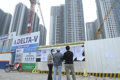 Người mua nhà xem các quảng cáo bán nhà, căn hộ chung cư trên địa bàn Thủ đô. (Ảnh Mạnh Khánh/TTXVN)