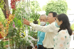 Các đại biểu tham quan khu trưng bày tác phẩm dự Hội thi hoa lan-bonsai thành phố Thủ Đức. (Ảnh: Xuân Anh/TTXVN)