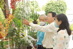 Các đại biểu tham quan khu trưng bày tác phẩm dự Hội thi hoa lan-bonsai thành phố Thủ Đức. (Ảnh: Xuân Anh/TTXVN)