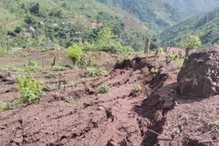 Hiện trạng sạt trượt, sụt lún, nứt gãy trên núi ở huyện Nậm Pồ rất nguy hiểm đối với khu vực phía dưới mỗi khi mưa lớn. (Ảnh: TTXVN phát)