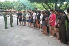 Các đối tượng bị bắt giữ. (Ảnh: Hải Yến/TTXVN)