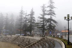 Rét hại tại Sa Pa. (Ảnh: Quốc Khánh/TTXVN)