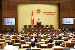 Bộ trưởng Bộ Công thương Nguyễn Hồng Diên, thừa ủy quyền của Thủ tướng Chính phủ trình bày Tờ trình dự án Luật Dầu khí. (Ảnh: Doãn Tấn/TTXVN)