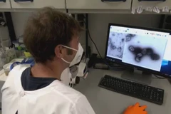 (Nguồn: globalnews.ca)