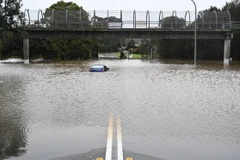 Một chiếc xe hơi bị bỏ lại trong nước lũ ở Lansvale, Tây Sydney ngày 3/7. (Ảnh: AAP)