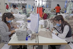May hàng xuất khẩu tại Công ty TNHH Hưng Việt, Mỹ Hào, Hưng Yên. (Ảnh: Trần Việt/TTXVN)