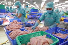 Chế biến cá tra xuất khẩu. (Ảnh: Vũ Sinh/TTXVN)