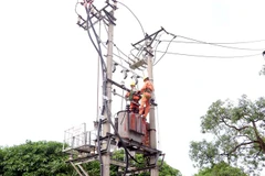 Điện lực thành phố Hải Dương tiến hành vệ sinh lưới điện, khắc phục các khiếm khuyết có nguy cơ xảy ra sự cố đối với đường dây cấp điện. (Ảnh: Mạnh Tú/TTXVN)