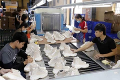 Sản xuất giày xuất khẩu sang thị trường châu Âu tại Công ty giày Trường Xuân, Ba Vì, Hà Nội. (Ảnh: Trần Việt/TTXVN)