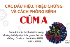 [Infographics] Các dấu hiệu, triệu chứng và cách phòng bệnh cúm A