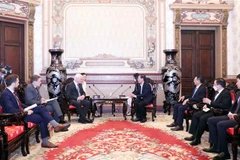 Quang cảnh buổi tiếp. (Ảnh: Xuân Khu/TTXVN)