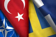 (Nguồn: Daily News)