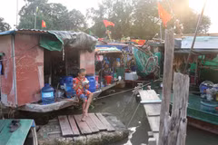 Làng chài mom sông Tam Bạc với hơn 60 hộ dân sinh sống trên các con thuyền là làng chài duy nhất còn sót lại giữa lòng thành phố Hải Phòng sôi động. (Ảnh: Hoàng Ngọc/TTXVN)