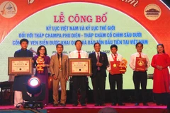 Tháp Chăm Phú Diên được công nhận đạt kỷ lục Thế giới. (Ảnh: Tường Vi/TTXVN)