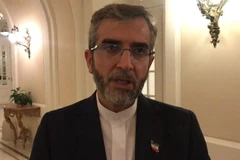 Trưởng đoàn đàm phán hạt nhân Iran, Thứ trưởng Ngoại giao Ali Bagheri Kani. (Ảnh: IRNA/TTXVN)