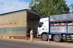 Lực lượng Cảnh sát Giao thông (Công an tỉnh Kon Tum) tạm dừng phương tiện để kiểm tra tải trọng tại trạm cân số 54 (đoạn trên Quốc lộ 14, thành phố Kon Tum). (Ảnh: Khoa Chương/TTXVN)