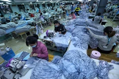 (Ảnh minn họa: Danh Lam/TTXVN)