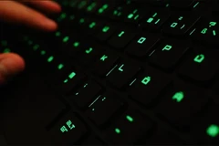 Ảnh minh họa. (Nguồn: zerikosovar.com)