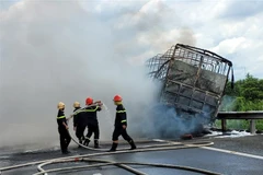 Lực lượng chức năng nỗ lực dập lửa ngày 4/5. (Ảnh: TTXVN phát)