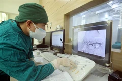 Ảnh minh họa. (Nguồn: Anh Tuấn/TTXVN)