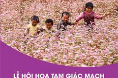 [Infographics] Lễ hội hoa Tam giác mạch "Sức sống cao nguyên đá"