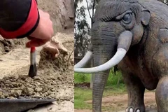 Voi Gomphothere cổ đại có thể nặng tới 4 tấn và cao 3m. (Nguồn: arynews.tv)