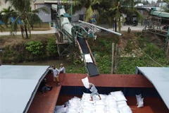 Vận chuyển gạo tại một nhà máy của Tập đoàn Lộc Trời. (Ảnh: Vũ Sinh/TTXVN)