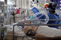 Nhân viên y tế điều trị cho bệnh nhân COVID-19 tại bệnh viện ở Cordoba, Argentina. (Ảnh: AFP/TTXVN)