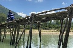[Photo] Bình Định: Thót tim với cây cầu tạm bắc qua sông Hà Thanh