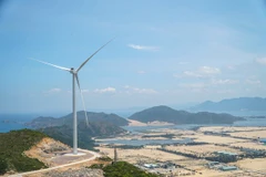 (Nguồn: tuoitre.vn)