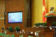 Đại biểu Quốc hội phát biểu trực tuyến. (Ảnh: Văn Điệp/TTXVN)