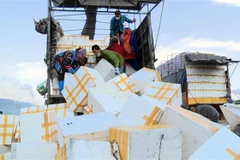 Hỗ trợ doanh nghiệp xử lý, tiêu hủy hàng hóa bị hư hỏng do bị ùn ứ ở cửa khẩu lâu ngày một cách an toàn vệ sinh môi trường. (Ảnh: Văn Đức/TTXVN)