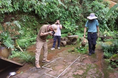 Các chuyên gia quan sát và đo các dấu vết khủng long được phát hiện tại một nhà hàng ở Lạc Sơn, tỉnh Tứ Xuyên, Tây Nam Trung Quốc ngày 16/7. (Nguồn: Global Times)