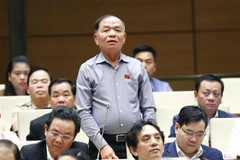 Đại biểu Quốc hội tỉnh Cà Mau Lê Thanh Vân đặt câu hỏi chất vấn. (Ảnh: Doãn Tấn/TTXVN)