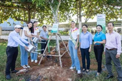 Hoa hậu Trái đất chung tay cùng NovaGroup trồng cây xanh ở Phan Thiết