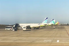 Máy bay của hãng hàng không Busan (Hàn Quốc) đang trả khách tại Sân bay Quốc tế Jeju. (Ảnh: Anh Nguyên/TTXVN)